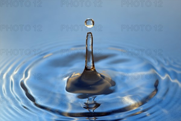 Water droplets falling onto water surface