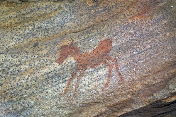 Ancient rock art