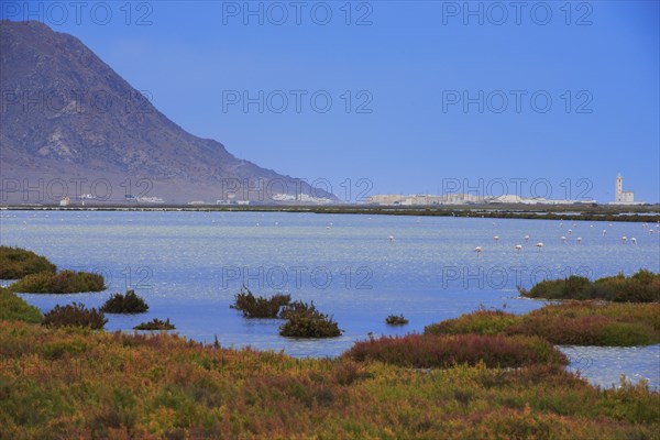 Almadraba de Monteleva
