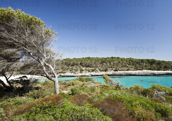 Calo d'en Garrot bay