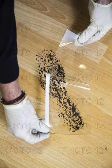 Shoe print on the floor