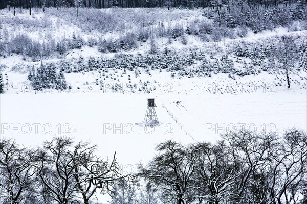 Snow-covered landscape