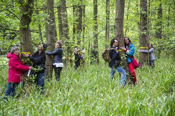 World record in tree hugging