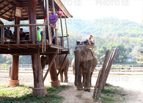 Elephant camp on the Mae Kok river