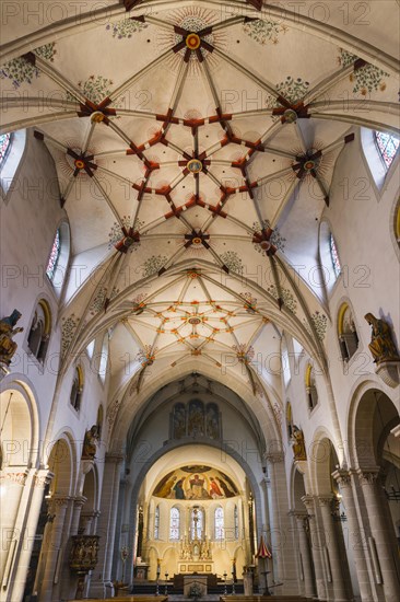 Nave with a Gothic stellar vault of the Basilica of St. Castor