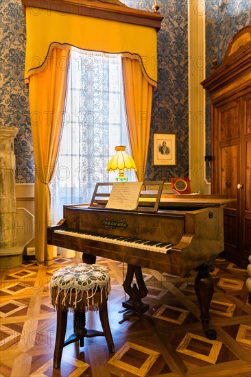 Tomaschek grand piano in the salon