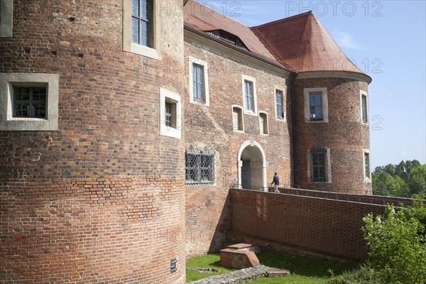 Burg Eisenhardt castle