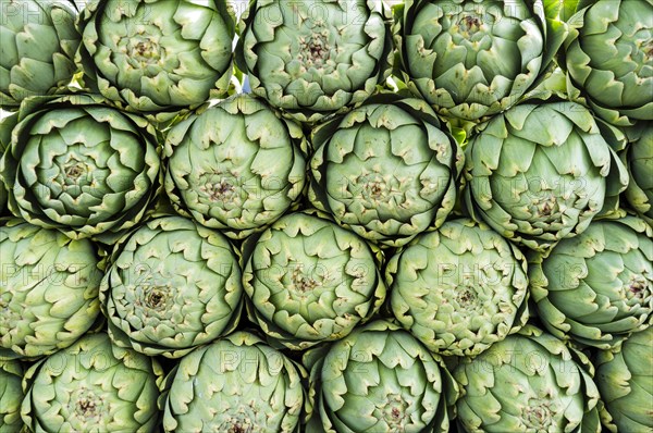 Artichokes for sale at the Foire des Herolles farmer's market