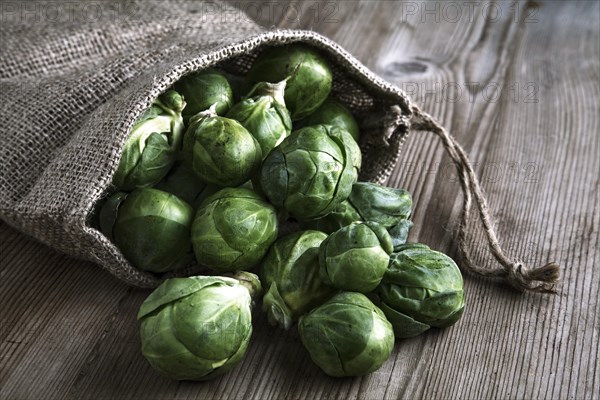 Organic Brussels sprouts in a jute sack on a wooden surface