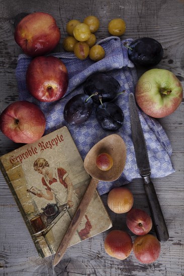 Kitchen scene