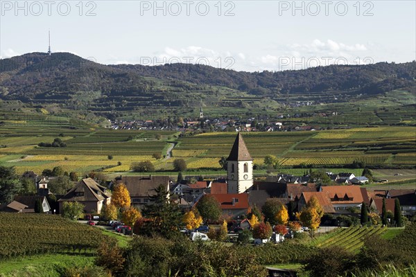 Wine village and cultural landscape in autumn