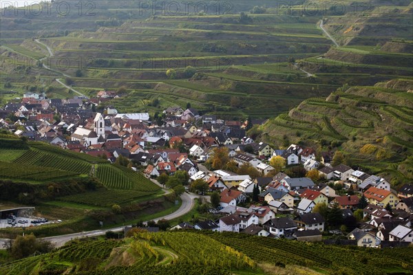 Village surrounded by vineyards