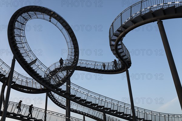 Tiger & Turtle - Magic Mountain'