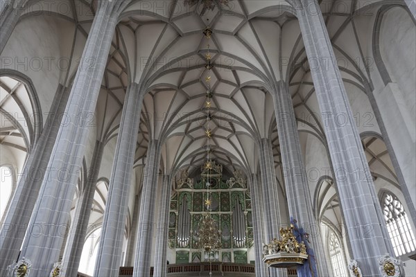 Vaulted ceilings and Sun Organ by Eugenio Casparini