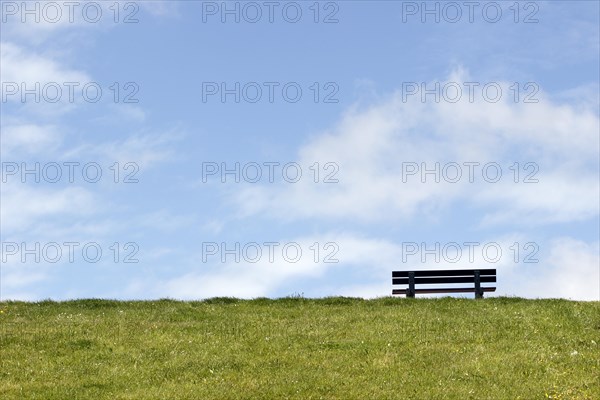 Bench on grass