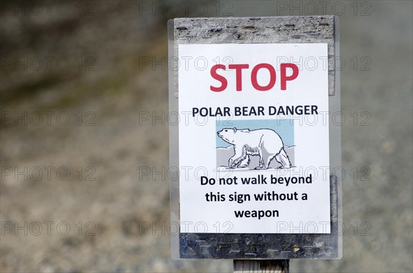 Polar bear warning sign