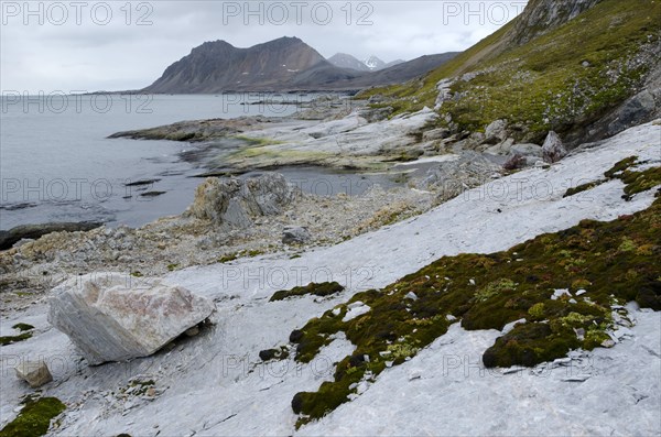 Views from the limestone cliffs near Gnalodden towards Fannypynten