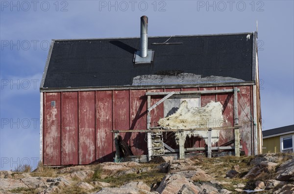 Polar bear skin drying on a frame outside a house in the Ittoqqortoormiit settlement