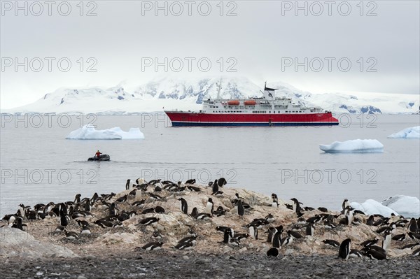 Expedition cruise ship