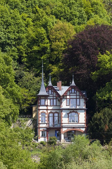 Old villa on the banks of the Elbe River