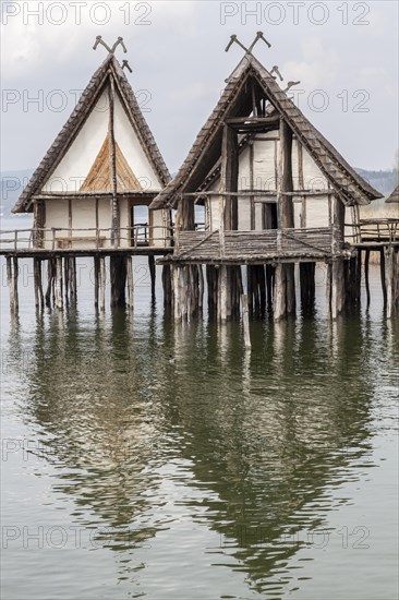 Stilt dwellings