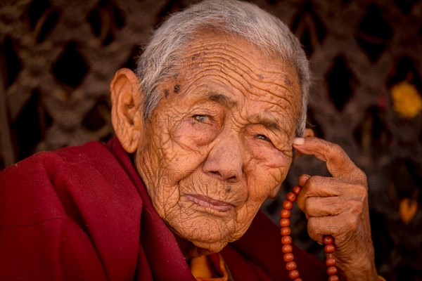 Female Buddhist monk