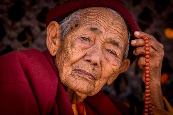 Female Buddhist monk