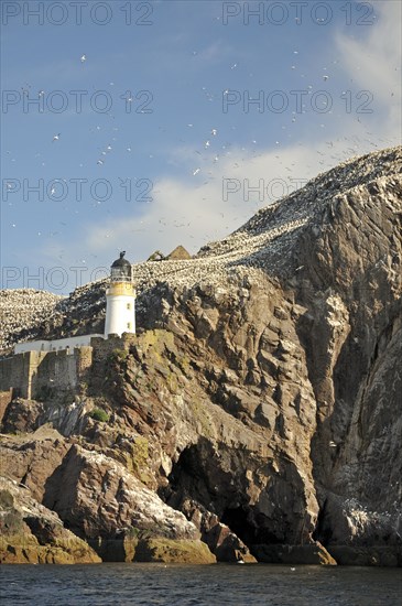 Old lighthouse on Bass Rock