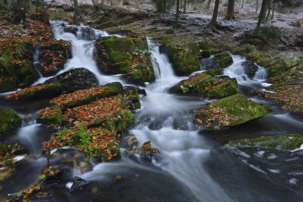 Waterfall in the Selke River in autumn