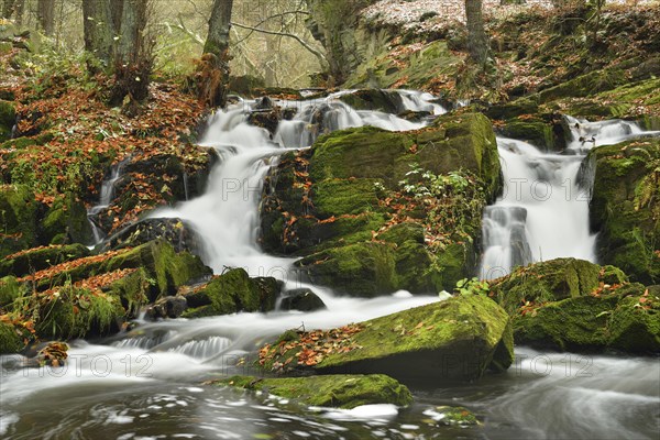 Waterfall in the Selke River in autumn