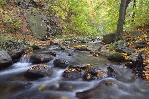 Ilse River in autumn