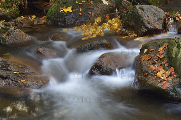 Ilse River in autumn