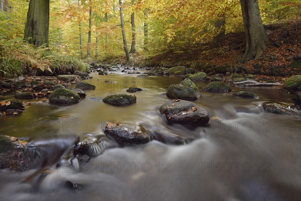 Ilse River in autumn