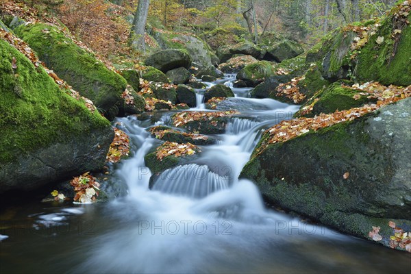 Ilse River in autumn