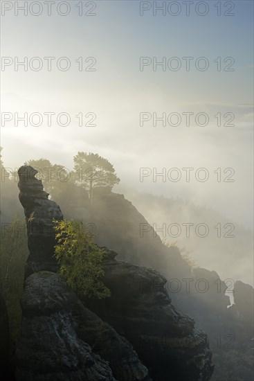 Rocks and trees on the Schrammsteine in the morning mist