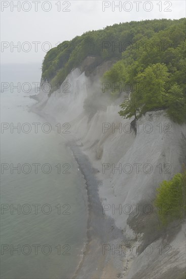 Fog over the Baltic Sea