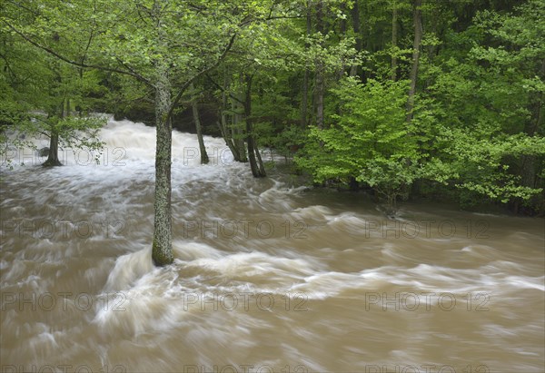 Waterfall on the Selke River during a flood