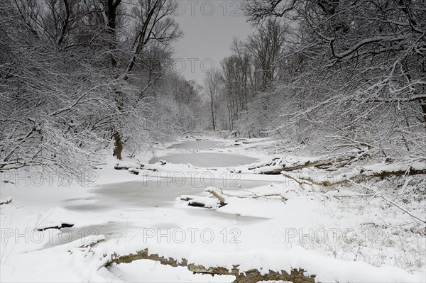 Winter landscape on the Danube