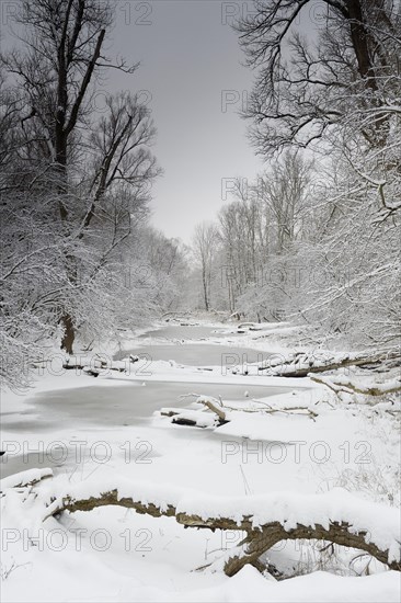 Winter landscape on the Danube