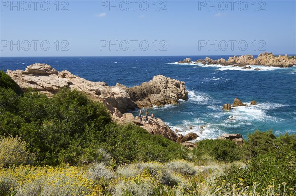 Coast of Capo Testa