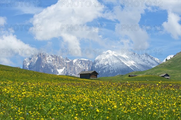Alpine huts in front of Piatto Mountain and Sasso Lungo Mountains