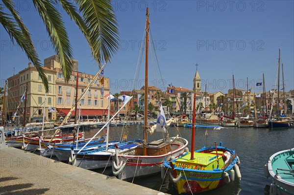 Harbour with historic boats