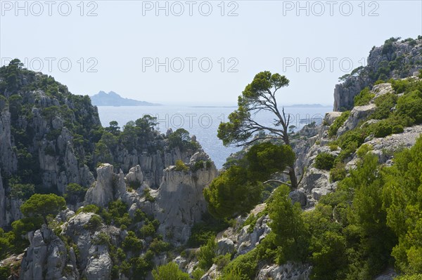 Karst rocks in the rocky bay Calanque d'En-Vau