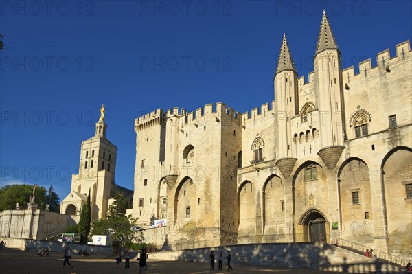 Palais des Papes