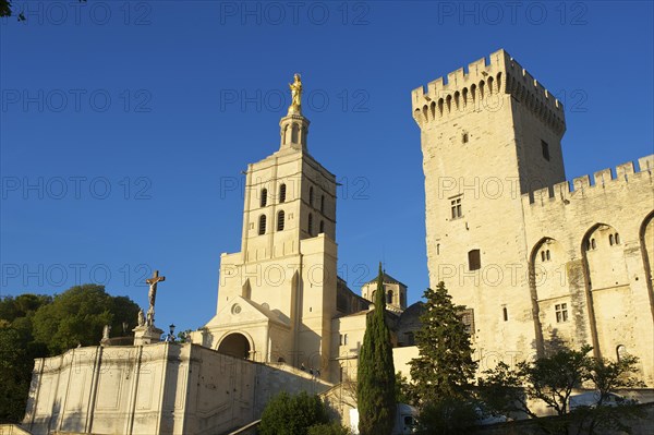 Palais des Papes