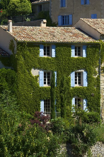 Ivy-covered house in a village