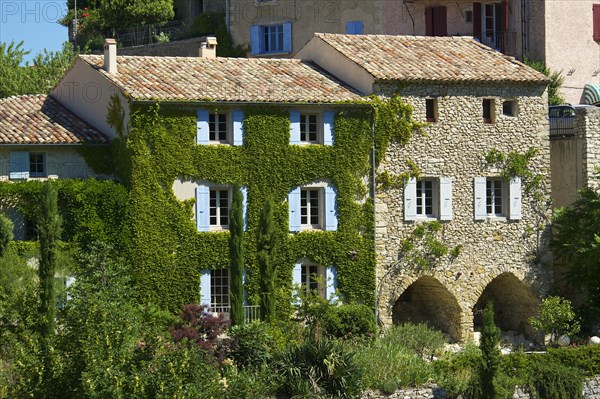 Ivy-covered house in a village