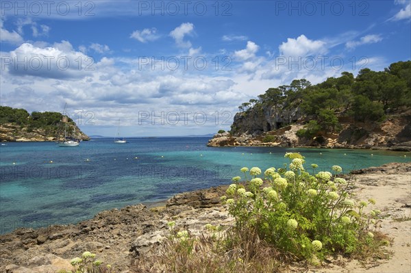 Bay Cala Portals Vells