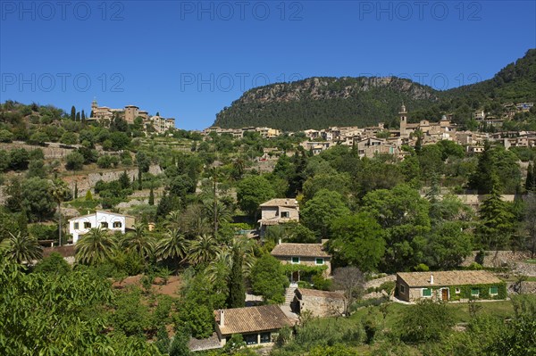 Townscape with the Charterhouse or Royal Carthusian Monastery of Valldemossa