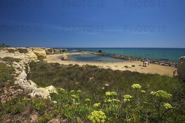 Beach of Ciriga